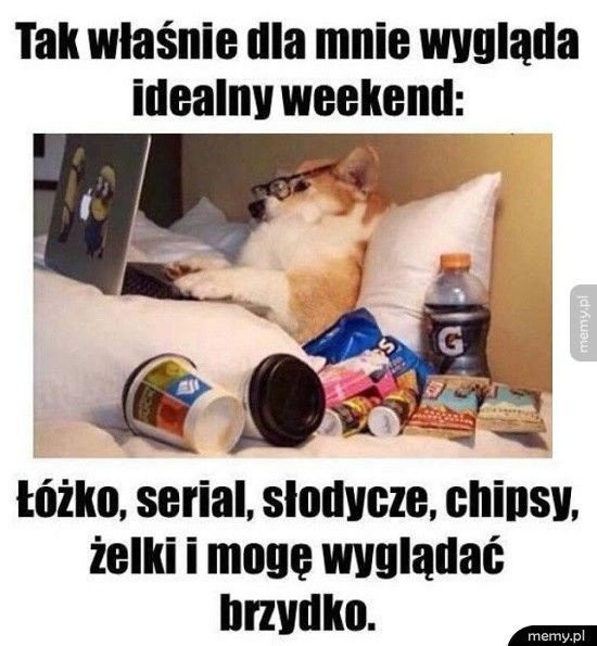 Memy na piątek i weekend