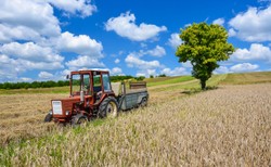Rolnicy będą mogli sprzedawać swoje produkty bezpośrednio? Kukiz'15 ma nowy projekt ustawy
