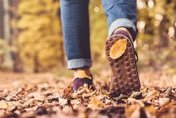 buty na jesień i zimę