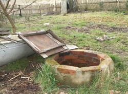 Sandra żyła, gdy wrzucono ją do szamba