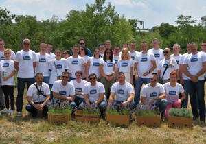 Volonterska akcija Imlekovih zaposlenih