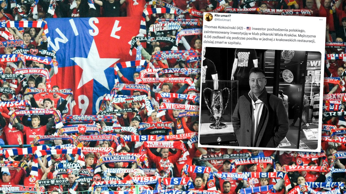 Chciał zainwestować miliony w Wisłę Kraków. Polonijny przedsiębiorca dorobił się na metalurgii