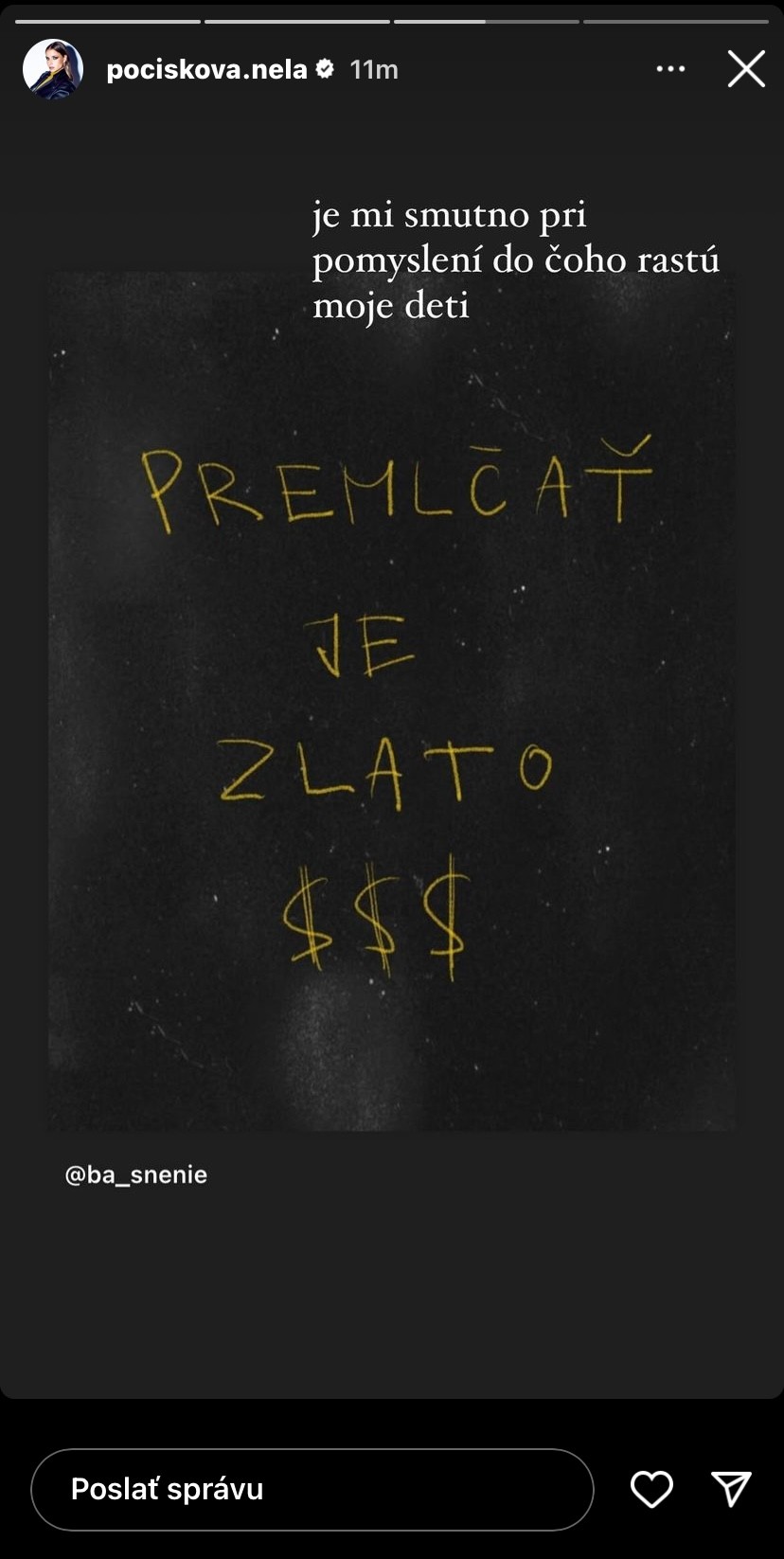 Nelu schválenie novely sklamalo.