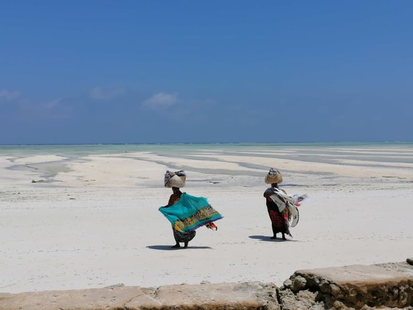 Jelena na Zanzibaru