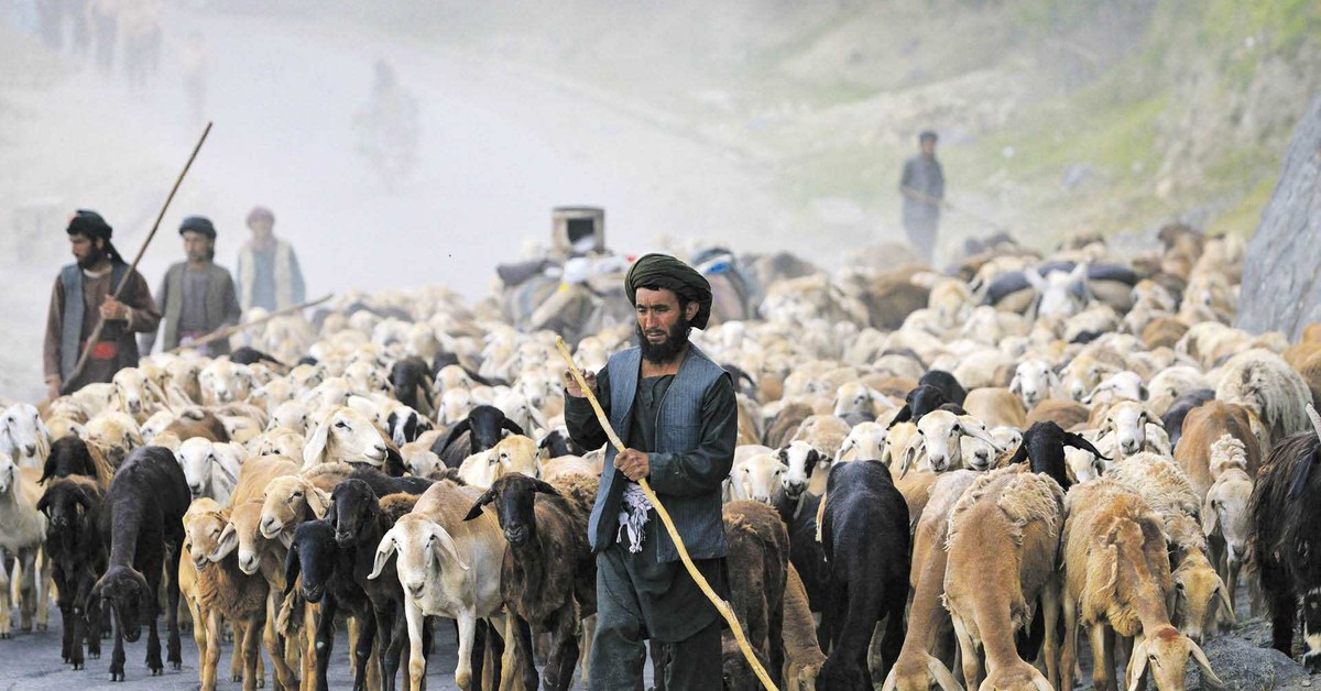 Afganistan. Pęknięcie wśród talibów