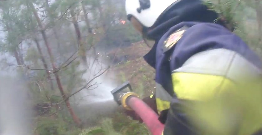 Policja szuka podpalacza grasującego pod Kaliszem