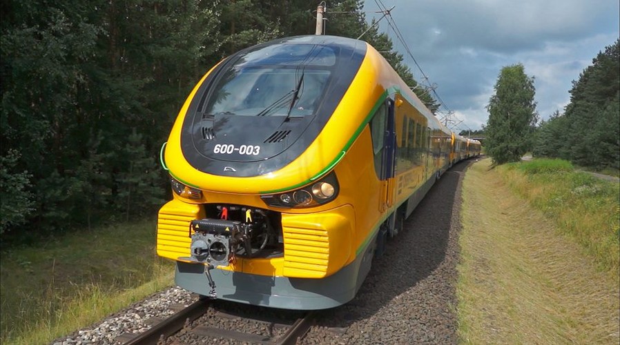 Link Pesy dla Netinery