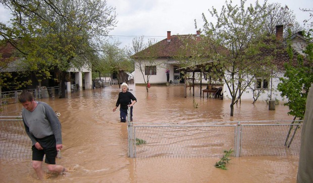 31675_regkral11mestani-obrve-medju-najugrozenijim