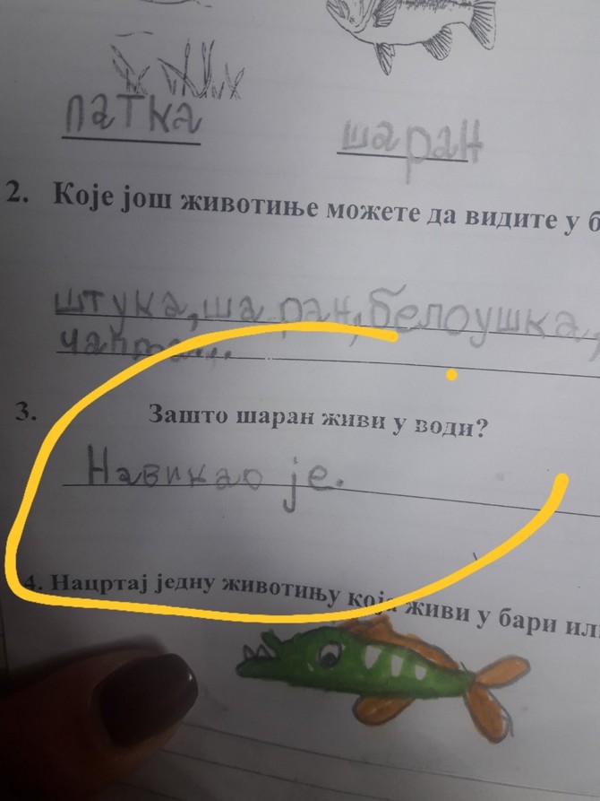 Potpuno logičan odgovor