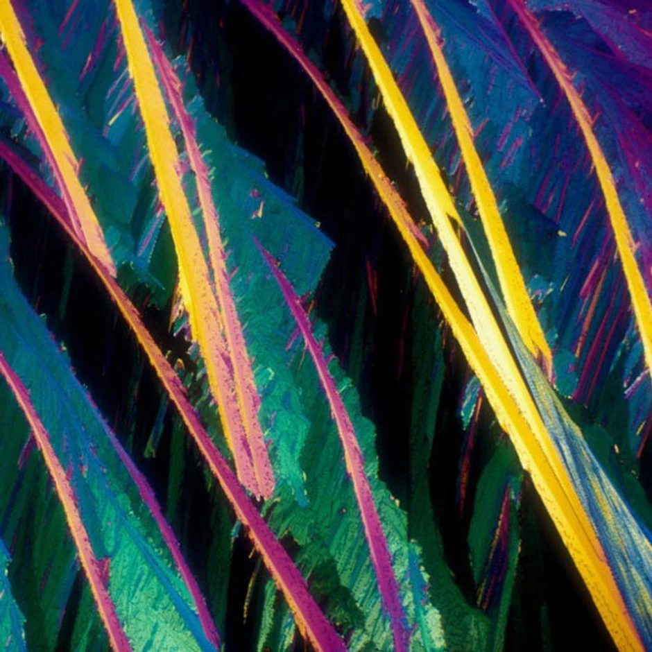 Crno vino (FOTO: ©BevShots)