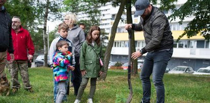 Katowice: mieszkańcy posadzili drzewa na os. Tysiąclecia