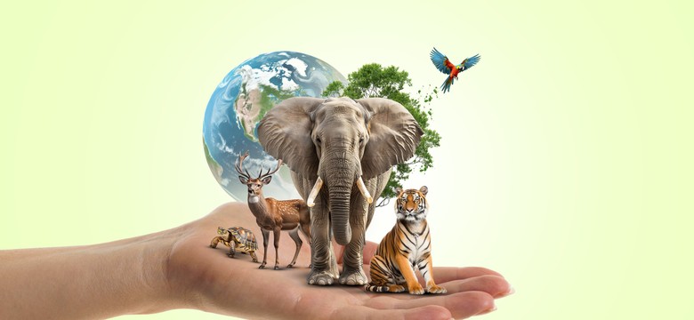 10 pytań, które cię zaskoczą. Oryginalny QUIZ z biologii. 7/10 to już wyzwanie