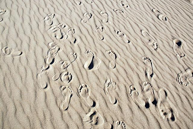 Galeria Australia - Stockton Sand Dune, obrazek 16