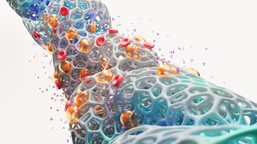 czym jest szpiczak plazmocytowy (mnogi)?