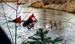 Łoś w tarapatach. Na ratunek ruszyli strażacy