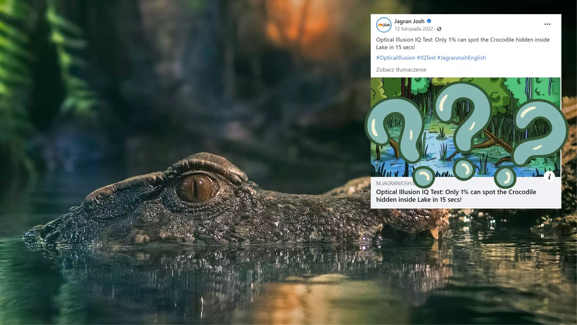 Tylko 1 proc. internautów znajdzie krokodyla na obrazku. Zaliczasz się do nich?