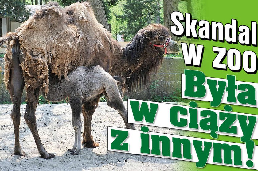 Była w ciąży z innym!