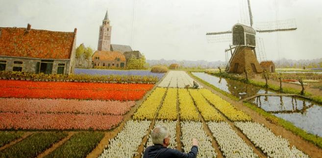 Zmniejszenie poziomu emisji szkodliwych gazów w Holandii ma związek z ogromnymi inwestycjami kraju w energię odnawialną. W kraju od 1986 roku realizowany jest wieloletni plan budowy elektrowni wiatrowych o łącznej mocy 3000 MW. Elektrownie o mocach nominalnych od 1 do 5 MW są stopniowo instalowane na 6400 platformach na morzu i  jeziorach.