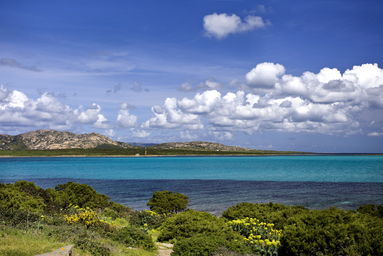 Wybrzeże w okolicach Asinara