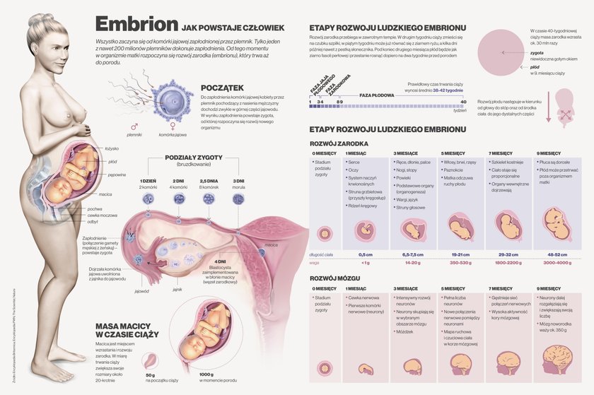 „Infografika. Wiedza w obrazach"