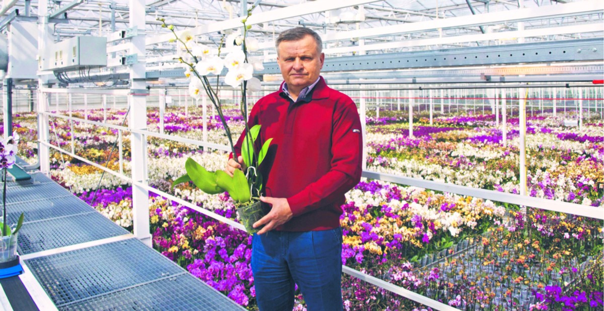 Firma Jarosława Ptaszka wyspecjalizowała się w produkcji kwiatów pod koniec lat 90. Dziś uprawy róż i storczyków zajmują po 6 hektarów, zaś anturiów – 3 ha