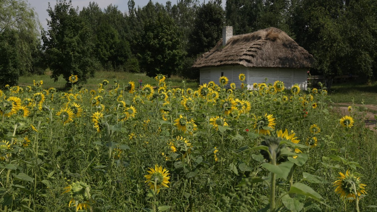 Tradycje ludowe i zapomniane zawody - to przykłady tematów questów, czyli szlaków z zagadkami turystycznymi, przygotowywanych dla zwiedzających Park Etnograficzny w Tokarni koło Kielc. Pierwsze ścieżki zostaną udostępnione w maju.