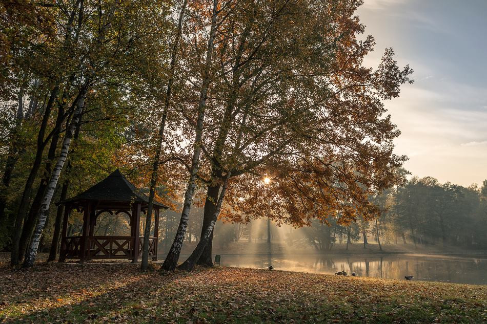 Zdjęcie autorstwa Pawła Augustyniaka 