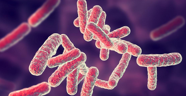 Bakterie jelitowe mogą mieć wpływ na przebieg koronawirusa