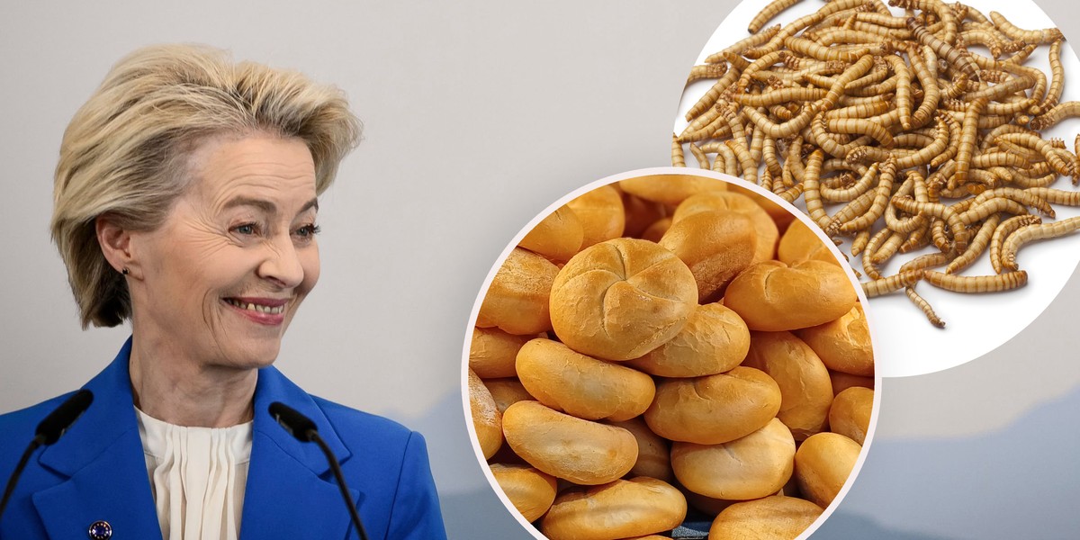 Do pieczywa, ciast, dżemów i. makaronów producenci będą mogli dodawać proszek z owadów – tak zdecydowała w rozporządzeniu Komisja Europejska. 