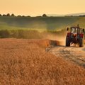 Rolnicy tracą przez unijną biurokrację