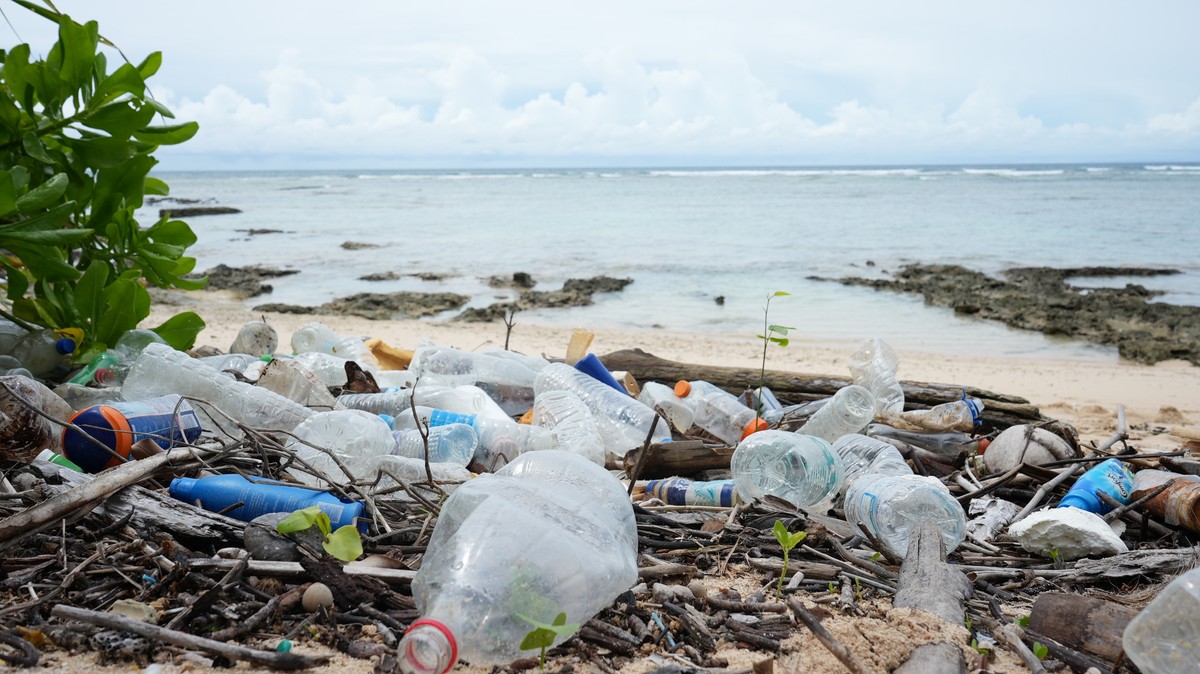 Za posiłek można zapłacić śmieciami. Innowacyjny pomysł odniósł sukces