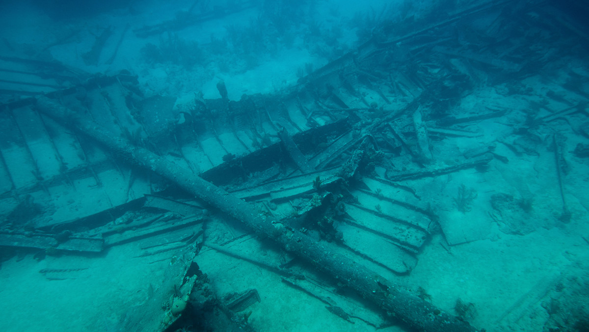 Wydobywanie cennych surowców z dna Oceanu Spokojnego było do pewnego czasu bardzo realną perspektywą dla Polski. Okazuje się, że przez bakterię pomagającą w walce z globalnym ociepleniem, te ambitne plany mogą się nie spełnić - informuje "Dziennik Gazeta Prawna".