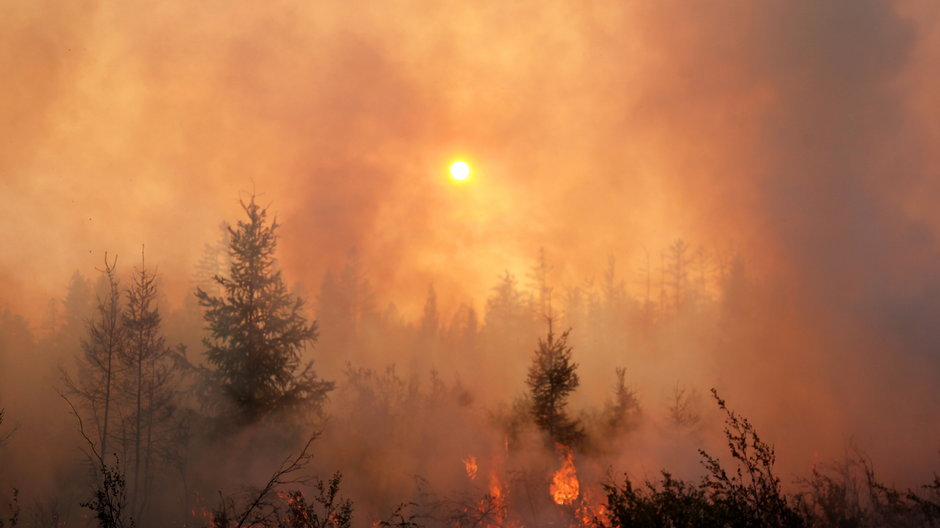Pożary na Syberii - klimatolodzy łączą je ze zmianami klimatu