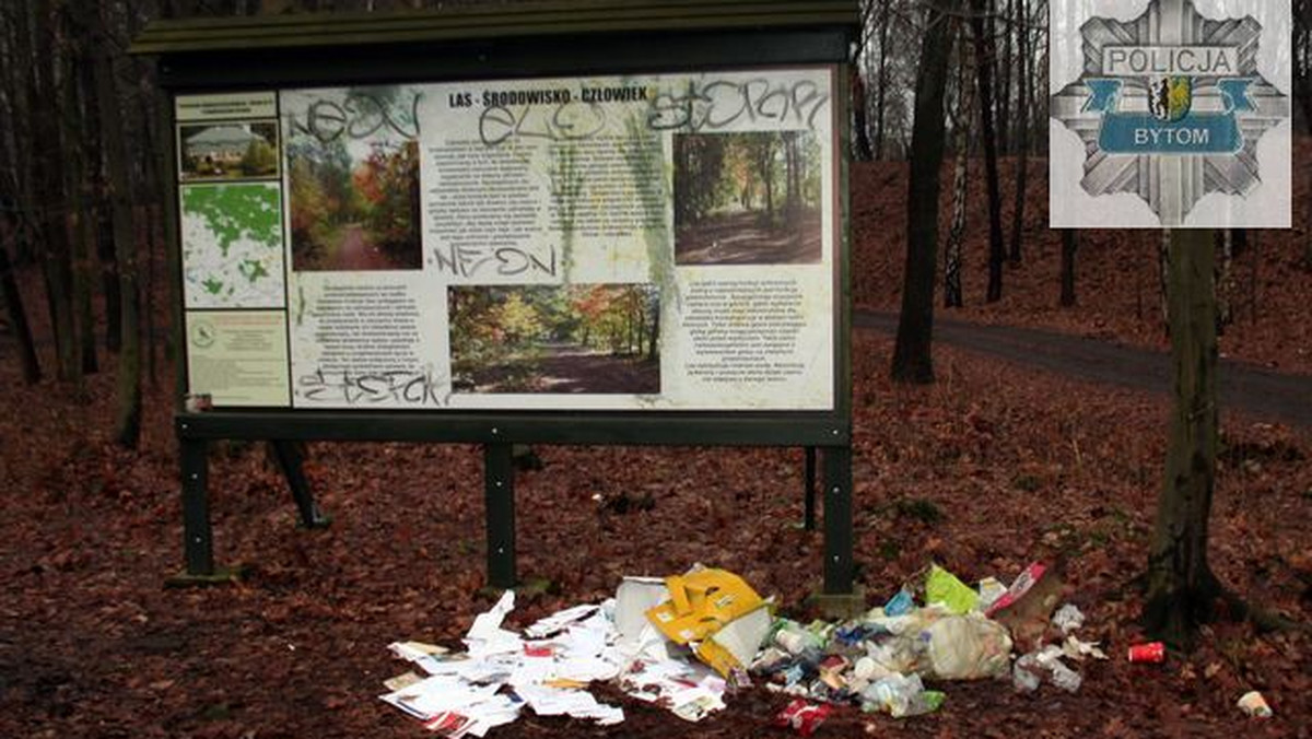 19-letni kurier powierzoną mu korespondencję wyrzucił na leśnym parkingu. Za naruszenie tajemnicy korespondencji listonoszowi grozi do 2 lat więzienia.