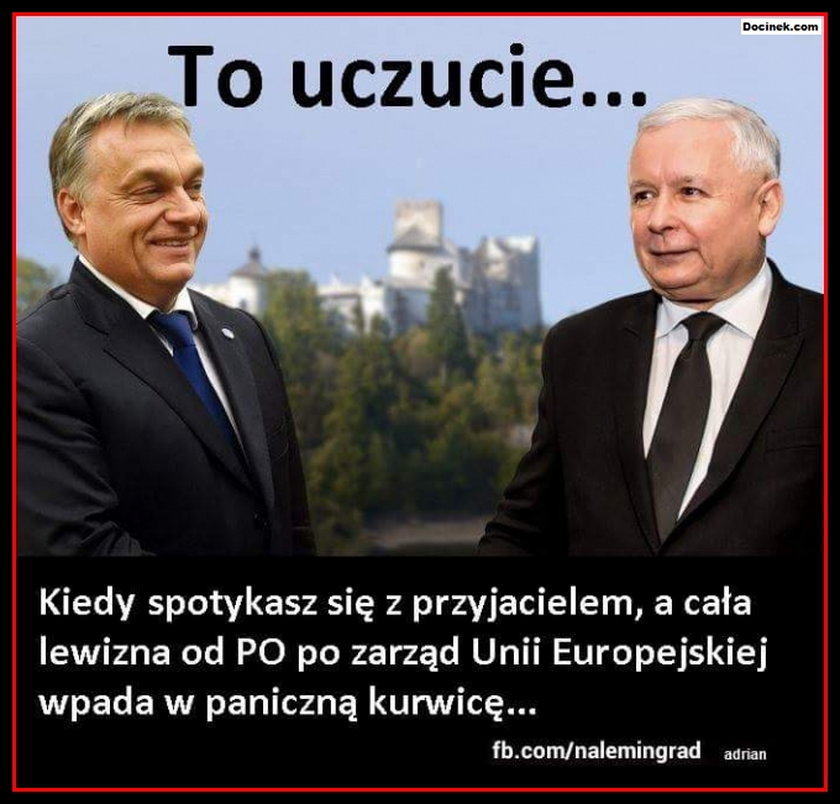 Z tego śmieli się Polacy. Polityczne memy tygodnia