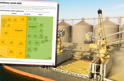 Jak wygląda światowy rynek zbóż? Wykres pokazuje, dlaczego ważna jest Ukraina
