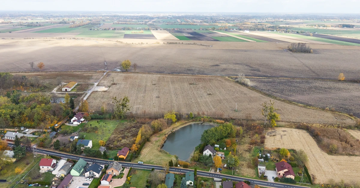 Oni są winni ws. sprzedaży działki pod CPK. Polacy nie mają wątpliwości [SONDAŻ]