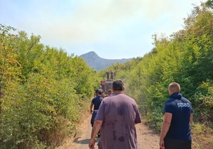 Požar Crna Gora vatrogasci gase