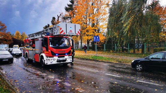 Połamane drzewa i gałęzie. Strażacy usuwają skutki silnego wiatru