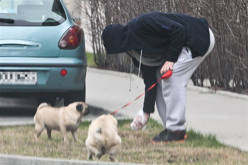 Polski aktor świeci przykładem i sprząta po psach. FOTO