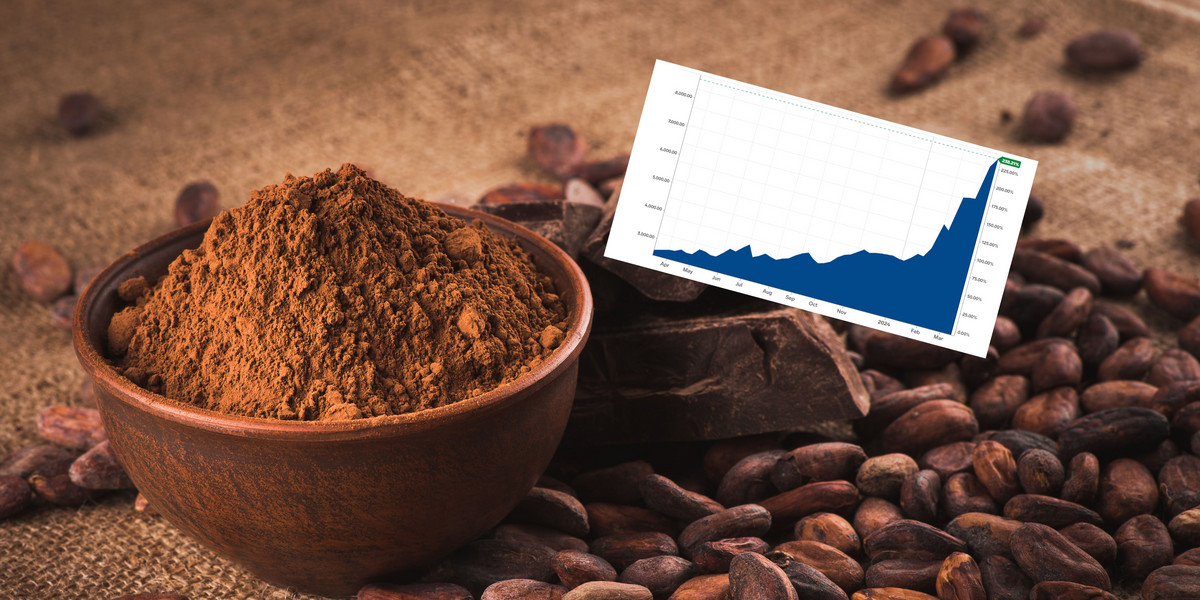 Notowania kakao urosły przez rok o 230 proc. i osiągnęły najwyższy poziom w historii.