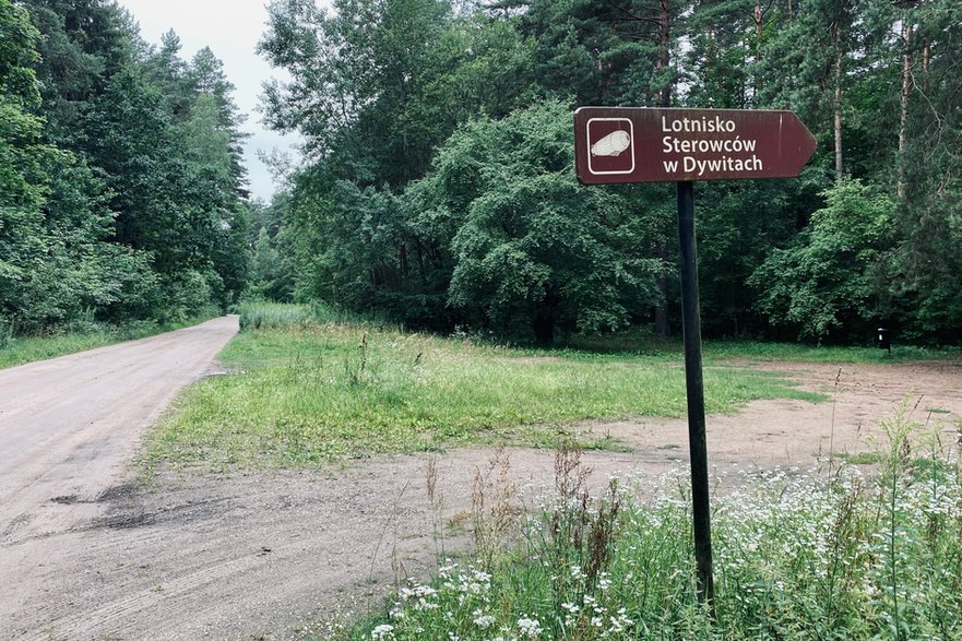 Na rozstajach dróg, z okazałą mirabelką w tle (szczawiu nie widziałem) – tajemnicza tabliczka prowadzi w las