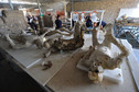 ITALY-POMPEII-RESTORATION-LABORATORY