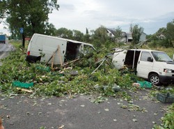Kobieta zabita przez powalone drzewo