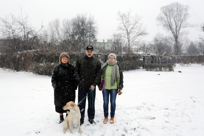 Burzą 11 ogródków, bo budują basen