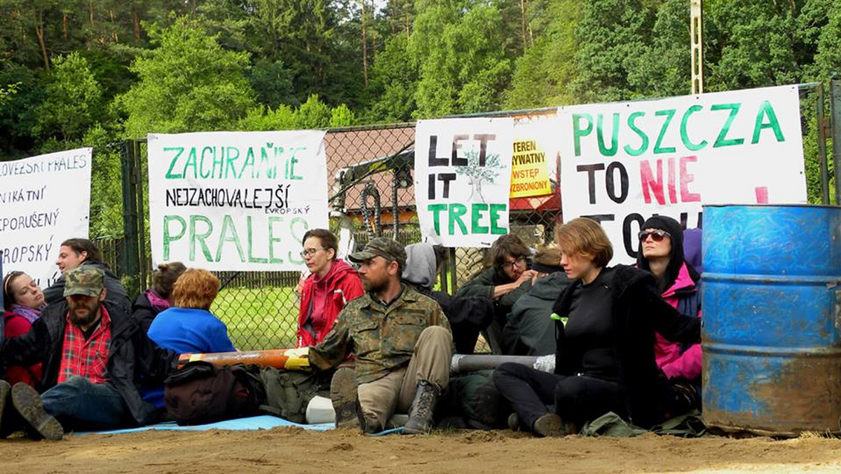 Obrońcy Puszczy Białowieskiej z zadowoleniem i nadzieją przyjęli wezwanie Komitetu Światowego Dziedzictwa UNESCO do natychmiastowego zaprzestania wycinki drzew w najstarszej części Puszczy Białowieskiej. Nie przerywają jednak blokady i wysyłają do Puszczy patrole, które sprawdzą, czy minister Szyszko do tej decyzji się dostosuje.