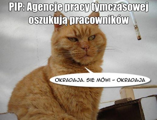 mem / Zwierzaki lewaki