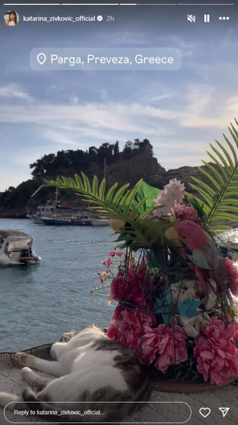 Katarina Živković uživa na moru