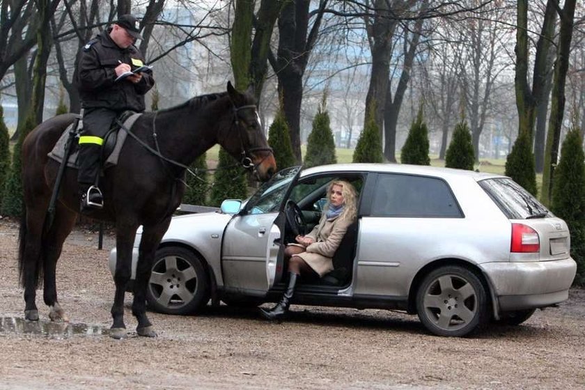 Joanna Liszowska, Lisza, Jak oni śpiewają