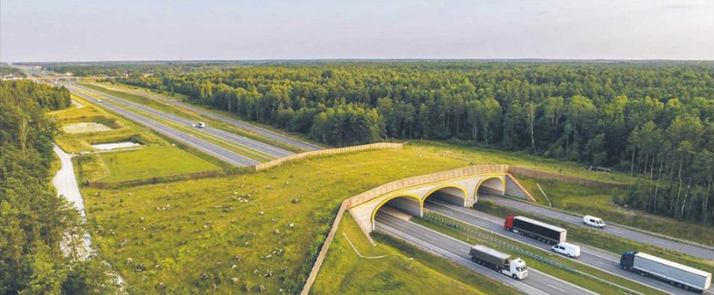 Polska musi mieć odpowiednie warunku do rozwoju